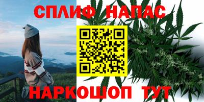 СК Бузулук
