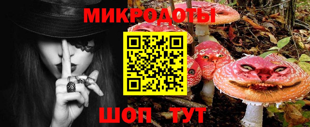 Ростов-на-Дону  Галлюциногенные грибы Cubensis  Вход с VPN 