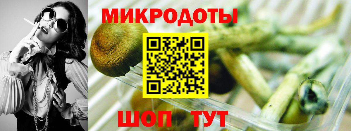 Галлюциногенные грибы Cubensis Ростов-на-Дону